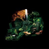 Hexvessel –Iron Marsh
